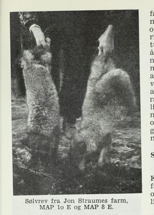 No-nb digibok 2013111808064 0749 1.jpg