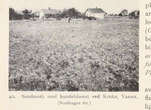 No-nb digibok 2013121124008 0060 1.jpg