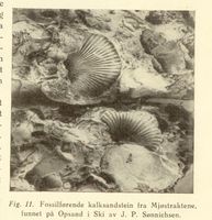 32. No-nb digibok 2014010838007 0030 2.jpg