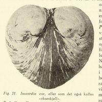 88. No-nb digibok 2014010838007 0054 1.jpg