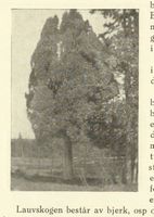 160. No-nb digibok 2014010838007 0070 1.jpg