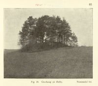 37. No-nb digibok 2014010838007 0087 1.jpg