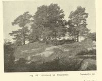 40. No-nb digibok 2014010838007 0108 1.jpg