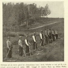 Slåttonn på Kråkstad prestegård ca 1880