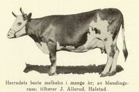 113. No-nb digibok 2014010838007 0462 1.jpg