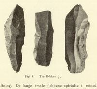 217. No-nb digibok 2014010838007 0492 1.jpg