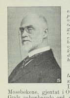 31. No-nb digibok 2015012008038 0281 1.jpg