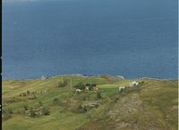 147. No-nb digifoto 20131115 00299 NB WF DOK 143455.jpg