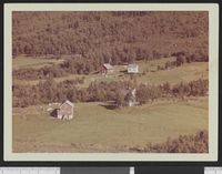 294. No-nb digifoto 20131206 00039 NB WF BLK 122260.jpg