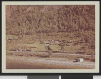 298. No-nb digifoto 20131206 00056 NB WF BLK 122295.jpg