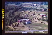 356. No-nb digifoto 20140327 00074 NB WF MAAK 086936.jpg