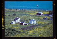 235. No-nb digifoto 20140411 00040 NB WF SLK 036634.jpg