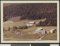 214. No-nb digifoto 20140801 00033 NB WF HLK 142606.jpg