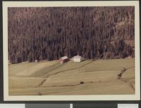 200. No-nb digifoto 20140804 00045 NB WF HLK 142592.jpg