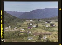 175. No-nb digifoto 20140814 00037 NB WF SK 081080.jpg