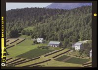 134. No-nb digifoto 20140814 00103 NB WF SK 081160.jpg