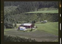 203. No-nb digifoto 20140925 00335 NB WF OHK 008558.jpg