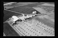 21. No-nb digifoto 20141001 00032 NB WF OHK 075526.jpg