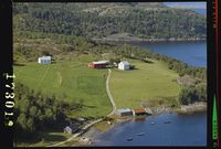 58. No-nb digifoto 20141217 00058 NB WF BJK 173017.jpg