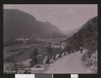 237. No. 8 Dalen, Thelemarken (II) - no-nb digifoto 20130402 00123 bldsa FA0174.jpg