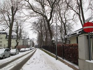 Nobels gate Oslo 2013.jpg