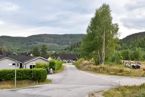 Nome, Lågmovegen-1.jpg