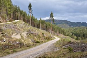 Nome, Minnesjøvegen-1.jpg