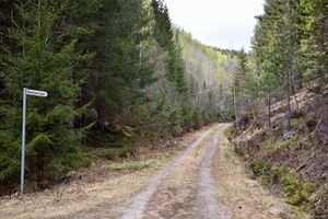 Nome, Rekatjønnvegen-1.jpg