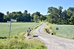 Nome, Statsraad Niels Aalls veg-1.jpg