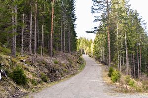 Nome, Sverdalsvegen-1.jpg