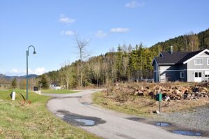 Nome, Tråholtvegen-1.jpg