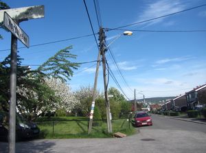 Nordalveien Oslo 2014.jpg