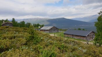 Norderhussetre i Vigga.jpg