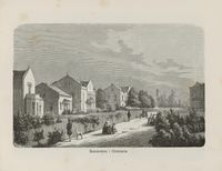 Motiv fra Homansbyen, fra Nordiska taflor (1865).