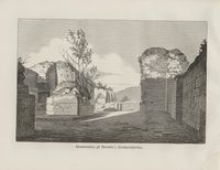 Klosterruinene omkring 1870, fra Nordiska taflor.