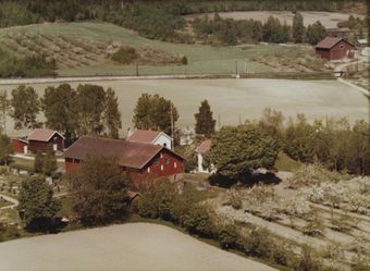 Nordre Darbu - WF473.jpg