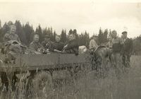 Arbeid ifbm dugnad etter planting. Fra venstre: Ingebjørg Warloff, Sigmund Sandengen, Jon Sandengen, Alice (Ally) Vinsvoll, Johan Lilleås, Gunnar Warloff, Kåre Kleve, Alf Vinsvoll og Tor Olsen. Traktoren er en Ferguson Gråtass 1951 og tilhengeren en Mjørud Vognfabrikk (denne hadde meier om vinteren).