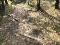 Nordre hjørne sett fra nord.