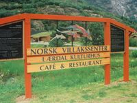 Norsk villakssenter i Lærdalsøyri, ved Lærdalselvi. Foto: Stig Rune Pedersen (1999)