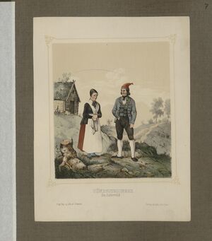 Norske Bondedragter - no-nb digibok 2013102828009-15.jpg