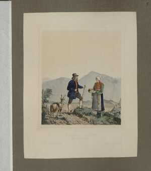 Norske Bondedragter - no-nb digibok 2013102828009-17.jpg