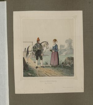 Norske Bondedragter - no-nb digibok 2013102828009-19.jpg