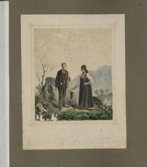 Norske Bondedragter - no-nb digibok 2013102828009-25.jpg