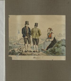 Norske Bondedragter - no-nb digibok 2013102828009-7.jpg