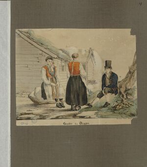 Norske Bondedragter - no-nb digibok 2013102828009-9.jpg