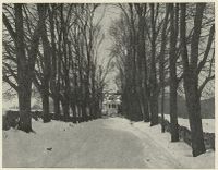 Øvre del av alléen. Fra Wladimir Moes Norske Storgaarder, utgitt 1920.