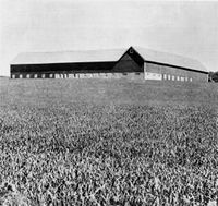 126. Nossum gård i Skogn.jpg