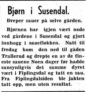 Notis om bjørn i Namdal Arbeiderblad 28.10.1950.jpg