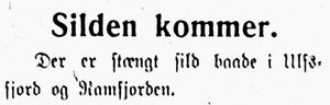 Notis om sildeinnsig i Harstad Tidende 24. juli 1913.jpg