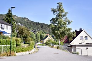 Notodden, Bernt Støylens gate-1.jpg